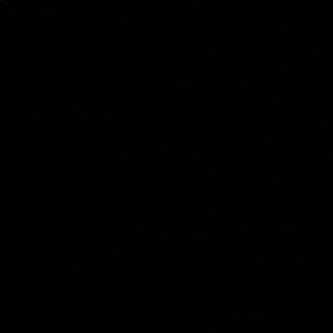 Meet your Posher, Dylan